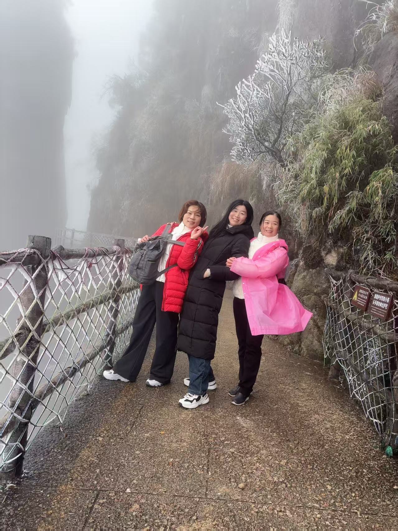 1763600126510603.png 圖片2.png